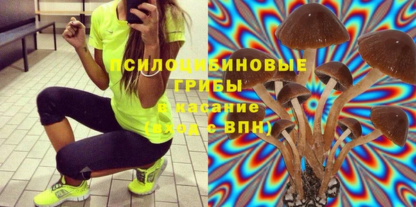 ГАЛЛЮЦИНОГЕННЫЕ ГРИБЫ Елабуга