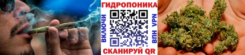 Купить где  Далматово  Шишки марихуана Ganja 
